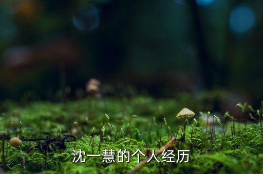沈一慧的個人經歷