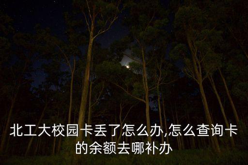 北工大校園卡丟了怎么辦,怎么查詢卡的余額去哪補辦