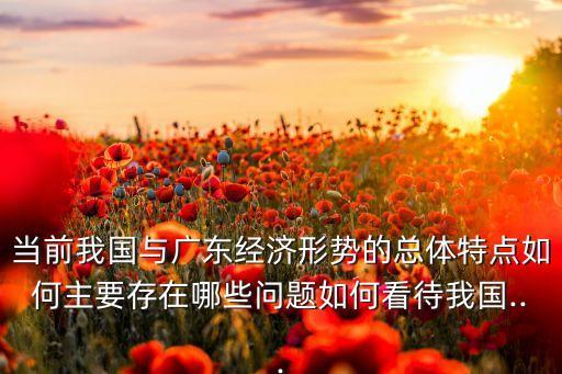 當(dāng)前我國(guó)與廣東經(jīng)濟(jì)形勢(shì)的總體特點(diǎn)如何主要存在哪些問題如何看待我國(guó)...