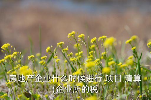 項(xiàng)目公司清算