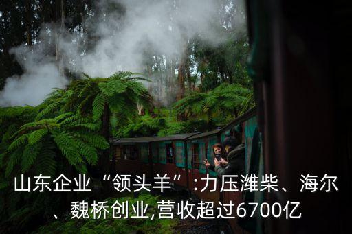 海爾集團的產(chǎn)銷量