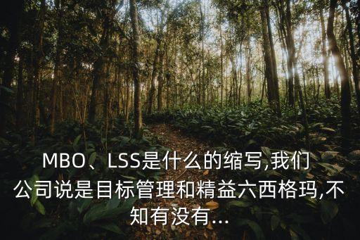上市公司mbo例子,雙匯mbo.成功后的上市公司之路