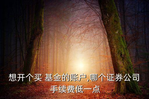哪里買基金手續(xù)費低,股票和基金哪個手續(xù)費低