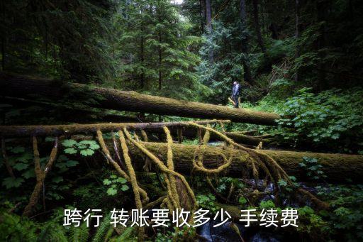 跨行 轉(zhuǎn)賬要收多少 手續(xù)費