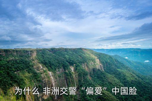 為什么 非洲交警“偏愛”中國臉