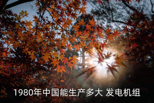 1980年中國能生產(chǎn)多大 發(fā)電機(jī)組
