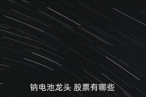 鈉電池龍頭 股票有哪些