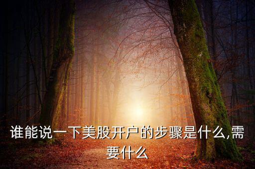 誰能說一下美股開戶的步驟是什么,需要什么