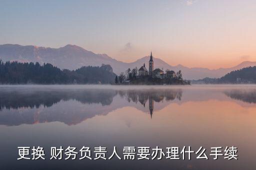 更換 財務(wù)負(fù)責(zé)人需要辦理什么手續(xù)