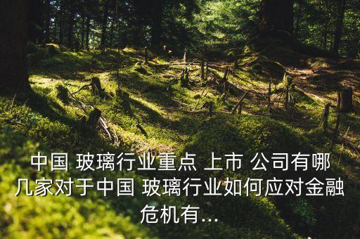 高送轉(zhuǎn)玻璃上市公司,A股高送轉(zhuǎn)的上市公司有哪幾個(gè)?