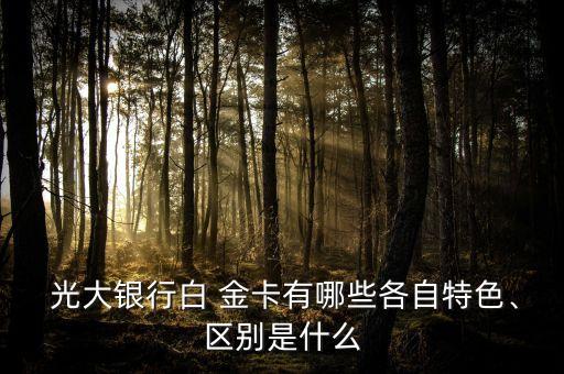  光大銀行白 金卡有哪些各自特色、區(qū)別是什么