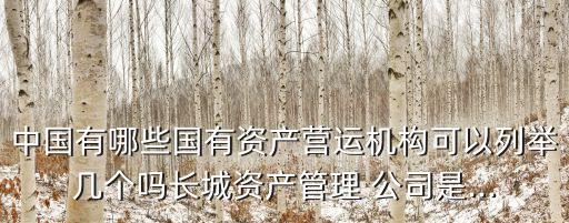 中國有哪些國有資產(chǎn)營運機構(gòu)可以列舉幾個嗎長城資產(chǎn)管理 公司是...