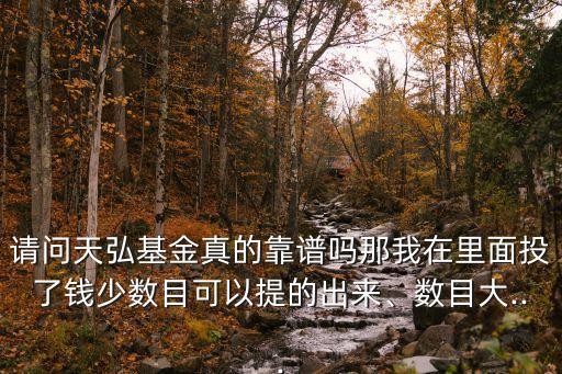 請問天弘基金真的靠譜嗎那我在里面投了錢少數(shù)目可以提的出來、數(shù)目大...