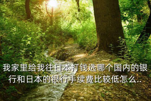 我家里給我往日本打錢(qián)選哪個(gè)國(guó)內(nèi)的銀行和日本的銀行手續(xù)費(fèi)比較低怎么...