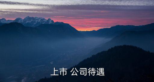  上市 公司待遇