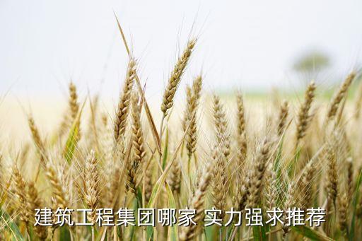 建筑工程集團(tuán)哪家 實力強(qiáng)求推薦