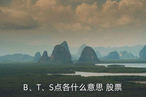 B、T、S點各什么意思 股票