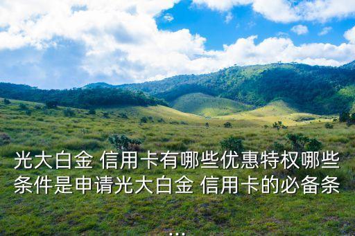 光大白金 信用卡有哪些優(yōu)惠特權(quán)哪些條件是申請光大白金 信用卡的必備條...