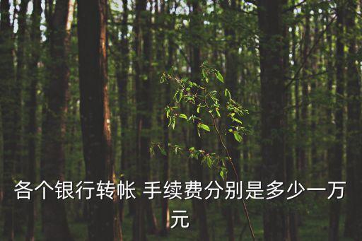 各個銀行轉(zhuǎn)帳 手續(xù)費分別是多少一萬元