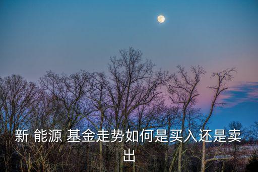 中海新能源基金,中海環(huán)保新能源混合基金怎么樣知乎