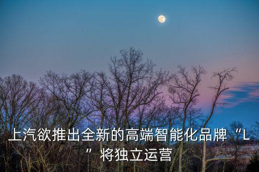 上汽欲推出全新的高端智能化品牌“L”將獨(dú)立運(yùn)營