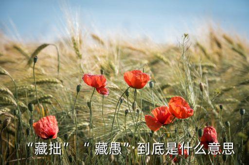 “藏拙”“ 藏愚”到底是什么意思