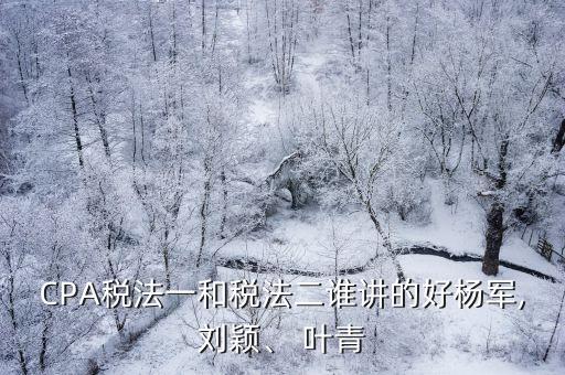 CPA稅法一和稅法二誰講的好楊軍,劉穎、 葉青