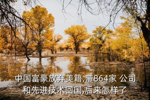 中國(guó)富豪放棄美籍,帶864家 公司和先進(jìn)技術(shù)回國(guó),后來(lái)怎樣了