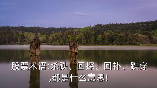  股票術(shù)語(yǔ):殺跌、回探、回補(bǔ)、跌穿,都是什么意思!
