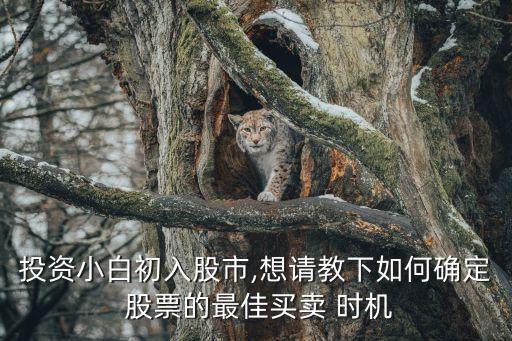 投資小白初入股市,想請教下如何確定 股票的最佳買賣 時機(jī)