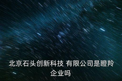 北京石頭創(chuàng)新科技 有限公司是瞪羚企業(yè)嗎