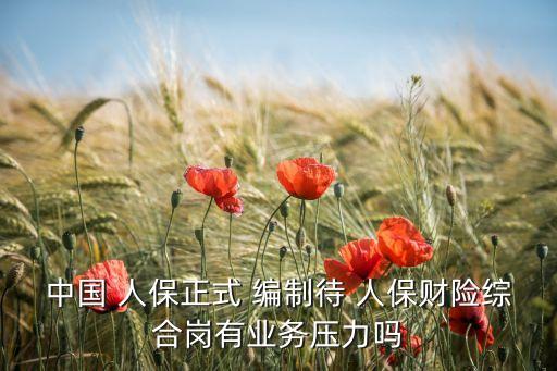 中國 人保正式 編制待 人保財(cái)險(xiǎn)綜合崗有業(yè)務(wù)壓力嗎