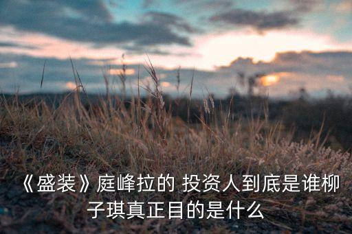 《盛裝》庭峰拉的 投資人到底是誰(shuí)柳子琪真正目的是什么