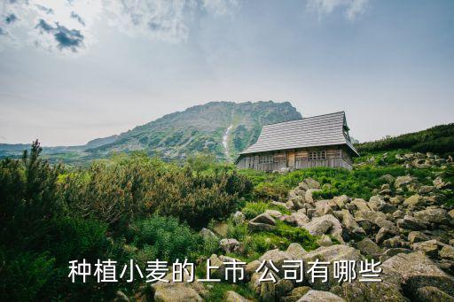 豐樂(lè)香料公司,安徽豐樂(lè)香料招聘
