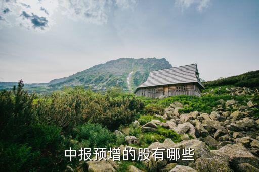 中報預增的股有哪些