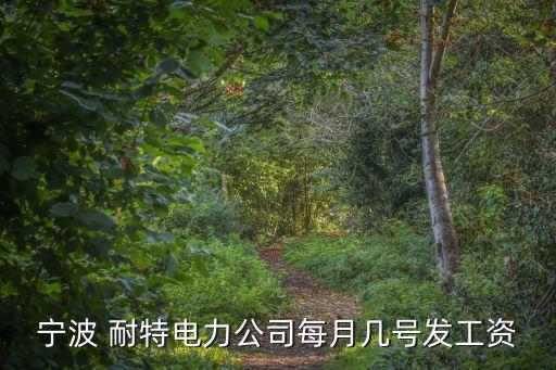 寧波 耐特電力公司每月幾號發(fā)工資