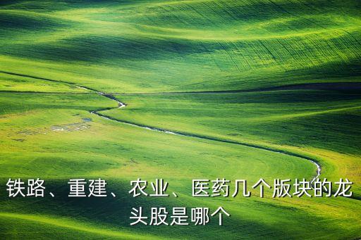 鐵路、重建、農(nóng)業(yè)、醫(yī)藥幾個版塊的龍頭股是哪個