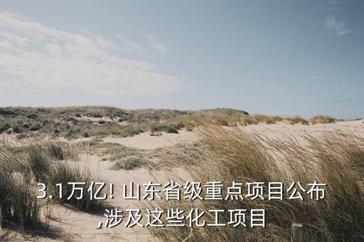 3.1萬億! 山東省級(jí)重點(diǎn)項(xiàng)目公布,涉及這些化工項(xiàng)目