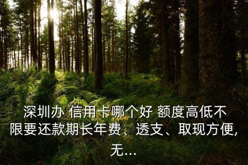 深圳辦 信用卡哪個(gè)好 額度高低不限要還款期長年費(fèi)、透支、取現(xiàn)方便,無...