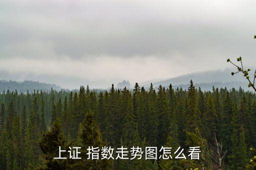 上證 指數(shù)走勢圖怎么看