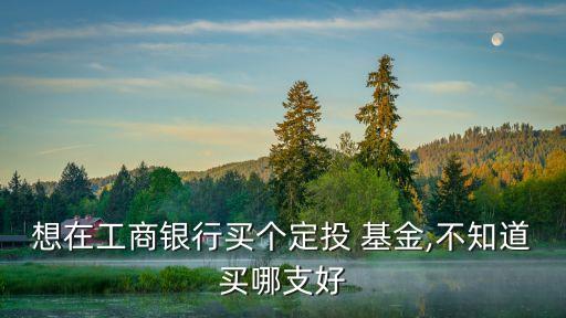想在工商銀行買(mǎi)個(gè)定投 基金,不知道買(mǎi)哪支好
