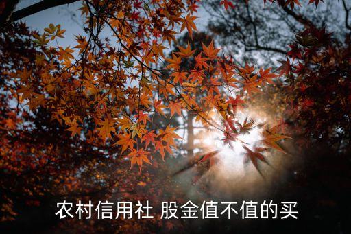 濟南農村商業(yè)銀行股金,延邊農村商業(yè)銀行股金分紅了嗎