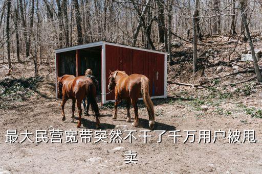 最大民營(yíng)寬帶突然不干了千萬(wàn)用戶被甩賣