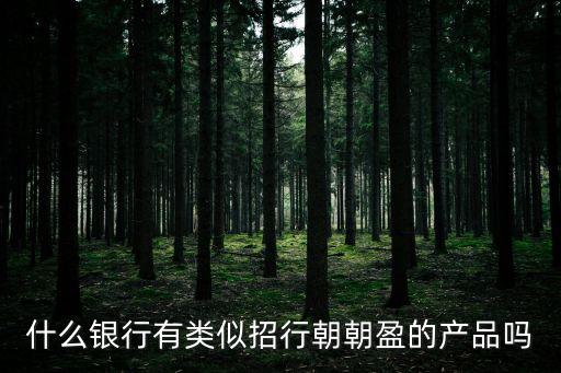 什么銀行有類(lèi)似招行朝朝盈的產(chǎn)品嗎