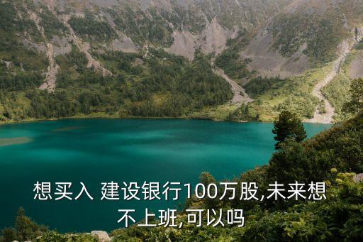 想買入 建設(shè)銀行100萬股,未來想不上班,可以嗎