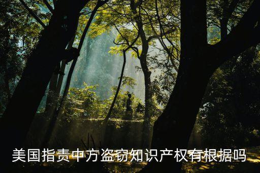 美國指責(zé)中方盜竊知識(shí)產(chǎn)權(quán)有根據(jù)嗎
