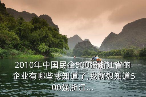 2010年中國民企500強(qiáng)浙江省的 企業(yè)有哪些我知道了,我就想知道500強(qiáng)浙江...