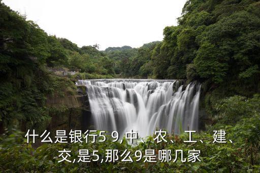 什么是銀行5 9,中、農(nóng)、工、建、交,是5,那么9是哪幾家