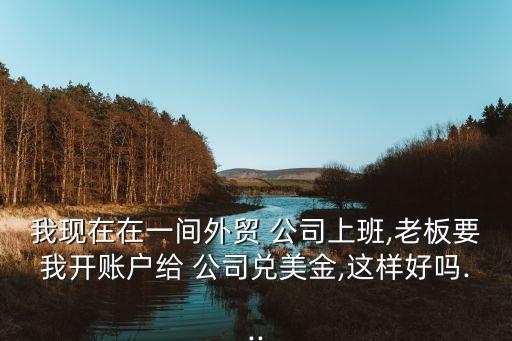 公司兌換美元