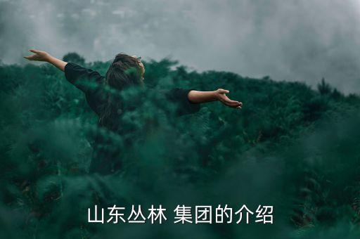 龍口港集團(tuán)有限公司具體地址,煙臺(tái)港集團(tuán)龍口港有限公司